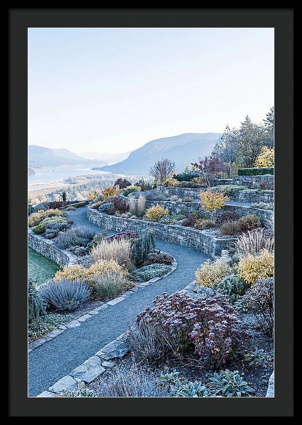 Terraced Hillside Garden In Autumn