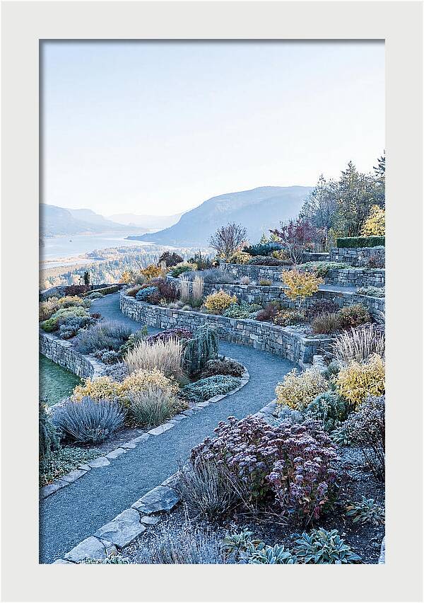 Terraced Hillside Garden In Autumn