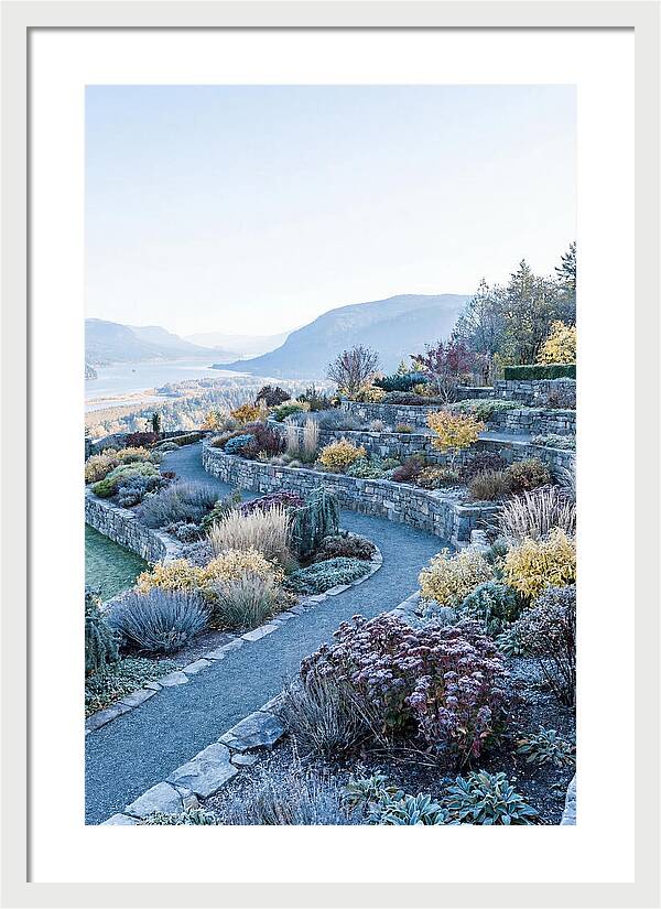 Terraced Hillside Garden In Autumn