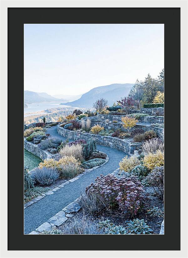 Terraced Hillside Garden In Autumn