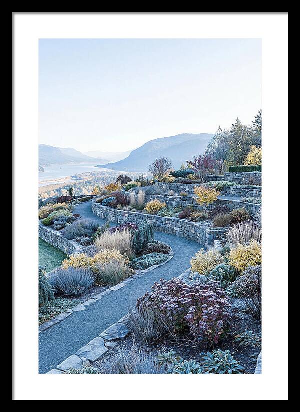 Terraced Hillside Garden In Autumn