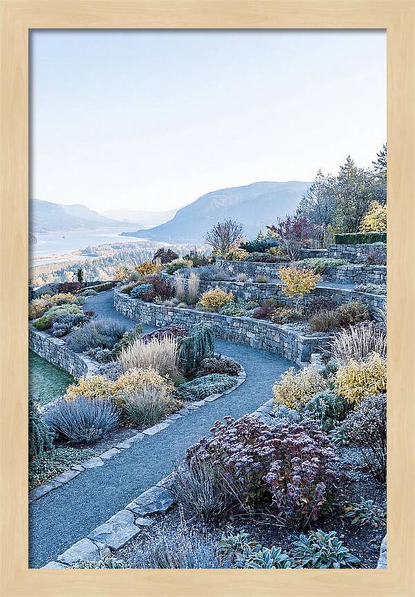 Terraced Hillside Garden In Autumn