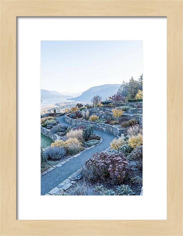 Terraced Hillside Garden In Autumn