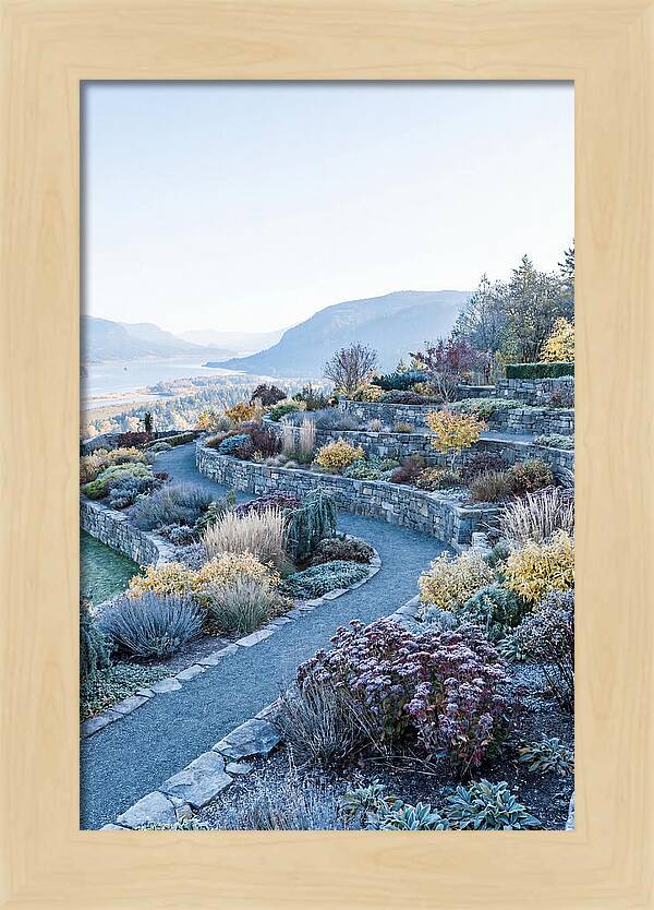 Terraced Hillside Garden In Autumn