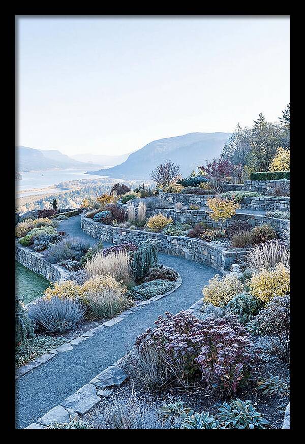 Terraced Hillside Garden In Autumn