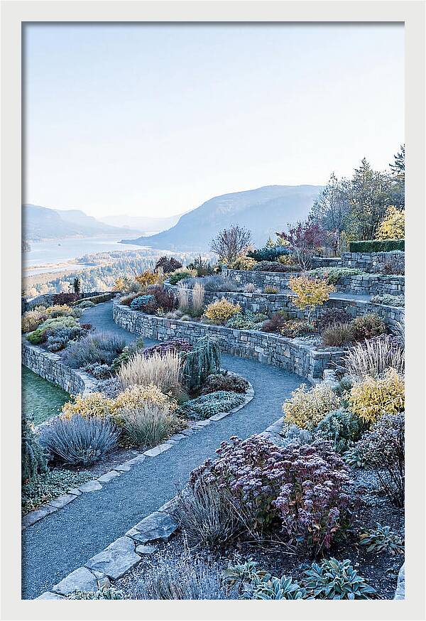 Terraced Hillside Garden In Autumn