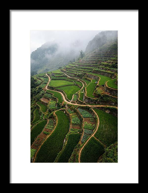 Terraced Hillside Overlook
