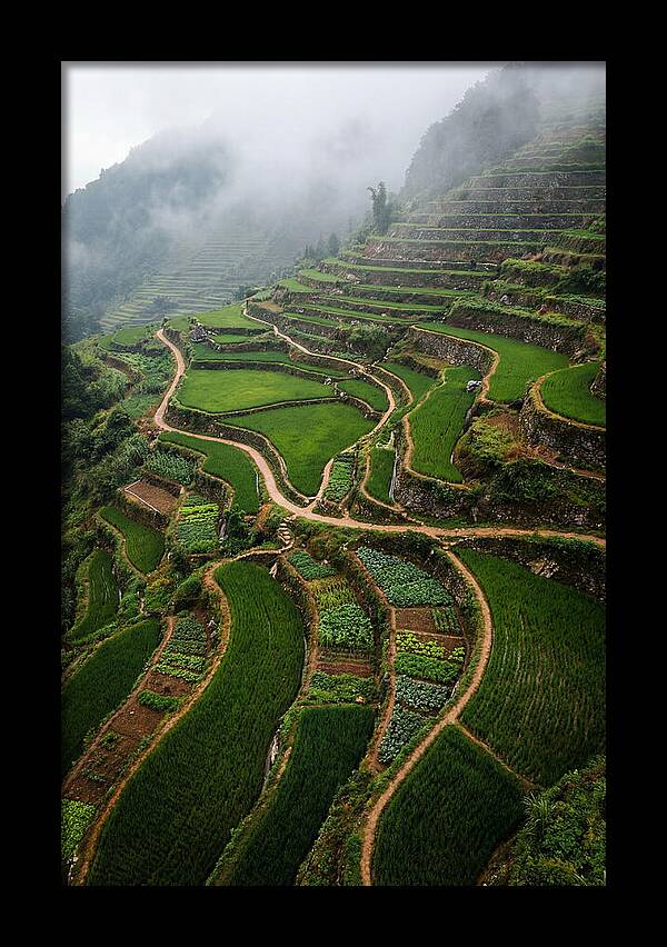 Terraced Hillside Overlook