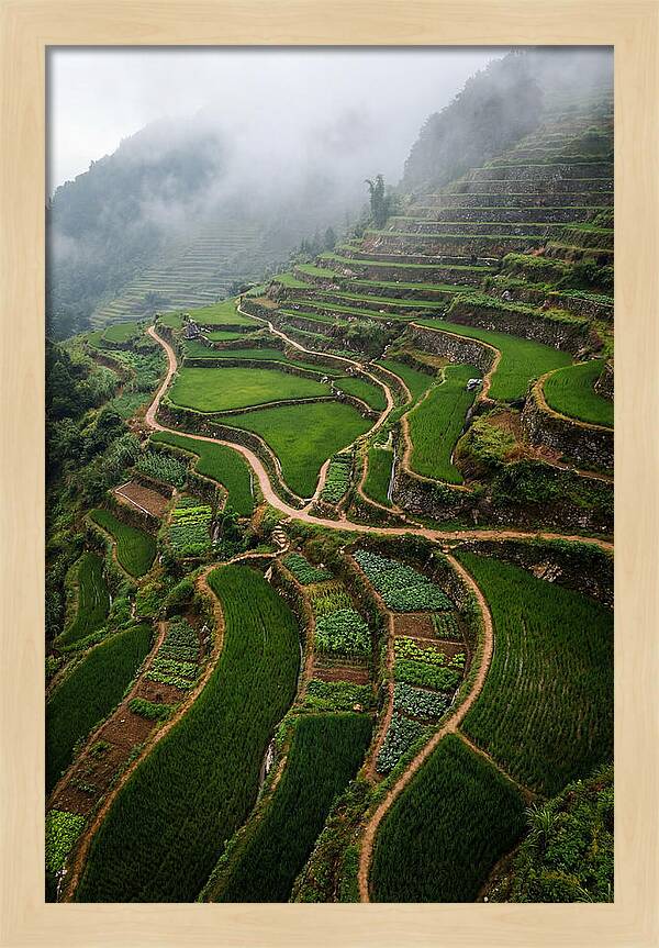 Terraced Hillside Overlook