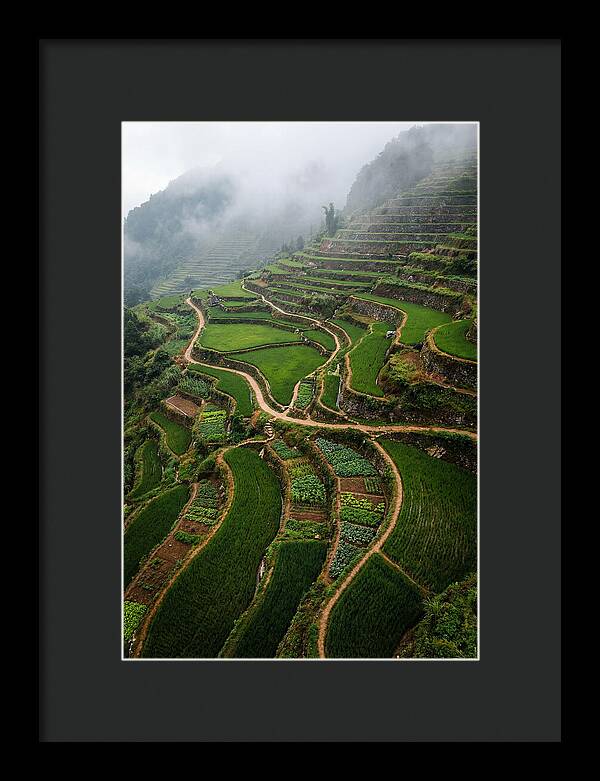 Terraced Hillside Overlook