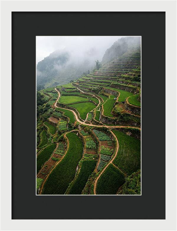 Terraced Hillside Overlook