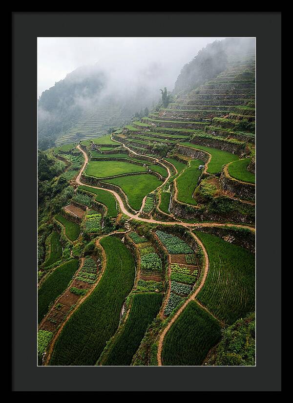 Terraced Hillside Overlook