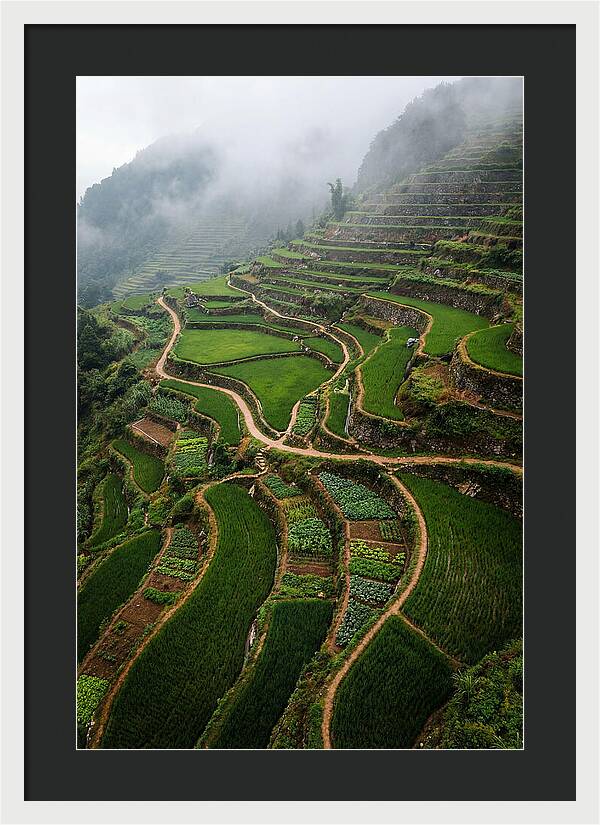 Terraced Hillside Overlook