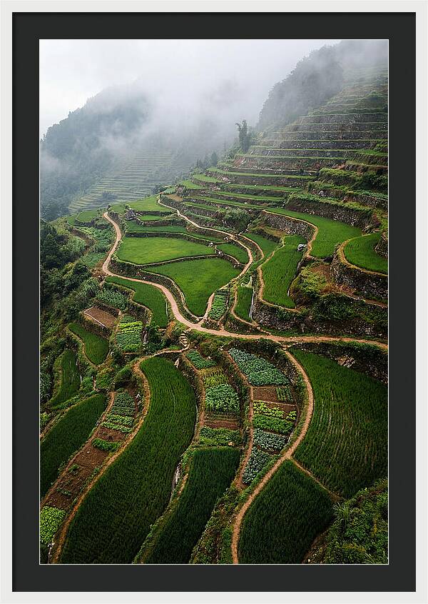 Terraced Hillside Overlook