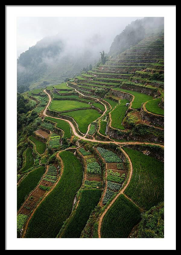 Path Art