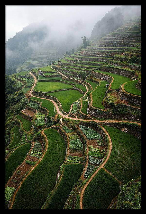 Terraced Hillside Overlook
