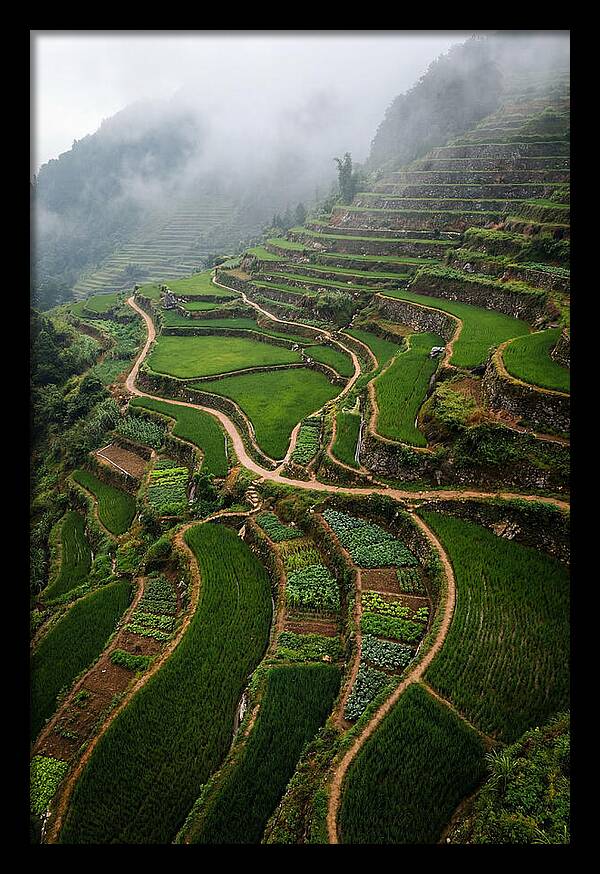 Terraced Hillside Overlook