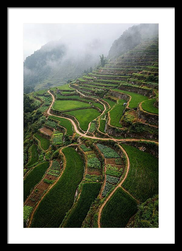 Terraced Hillside Overlook