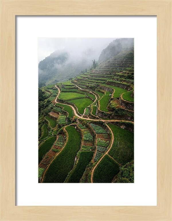 Terraced Hillside Overlook