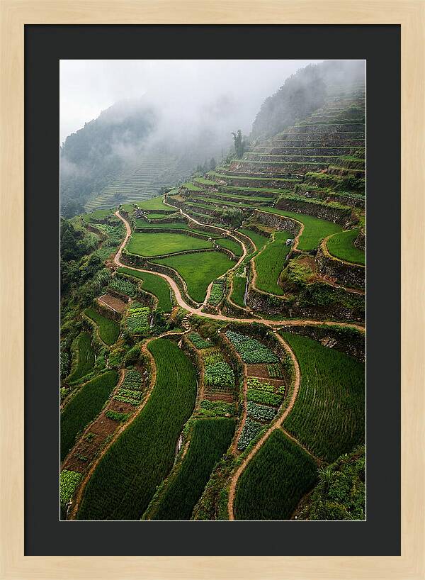 Terraced Hillside Overlook