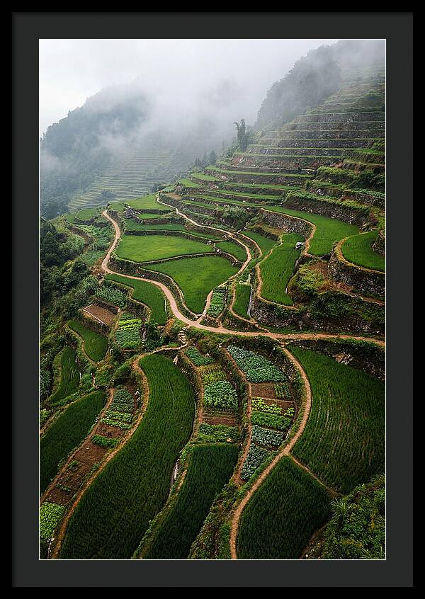 Terraced Hillside Overlook