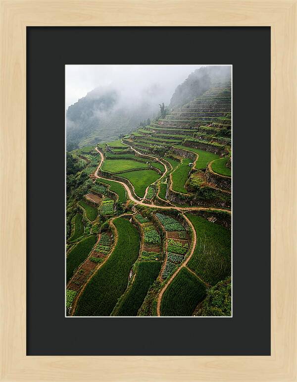 Terraced Hillside Overlook