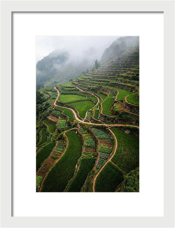 Terraced Hillside Overlook