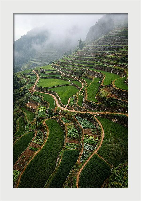 Terraced Hillside Overlook