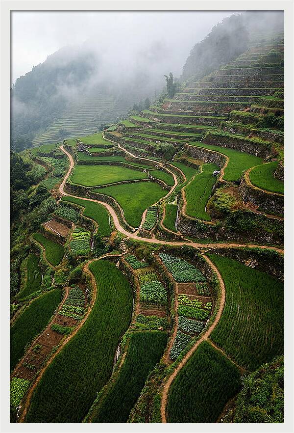 Terraced Hillside Overlook