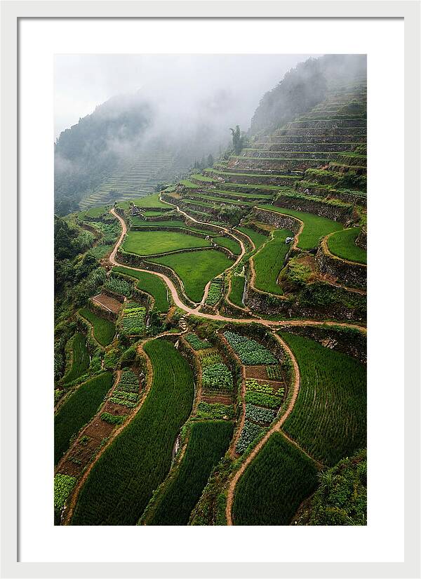 Terraced Hillside Overlook