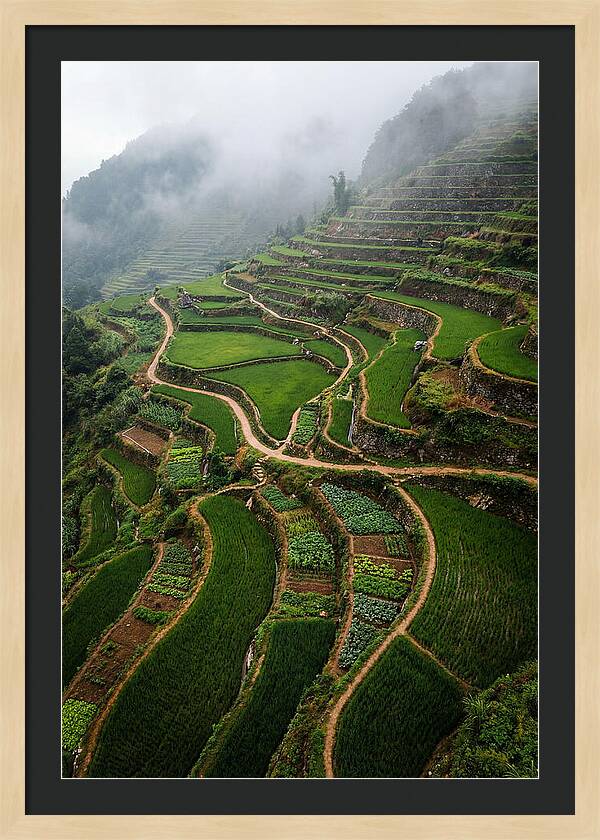 Terraced Hillside Overlook