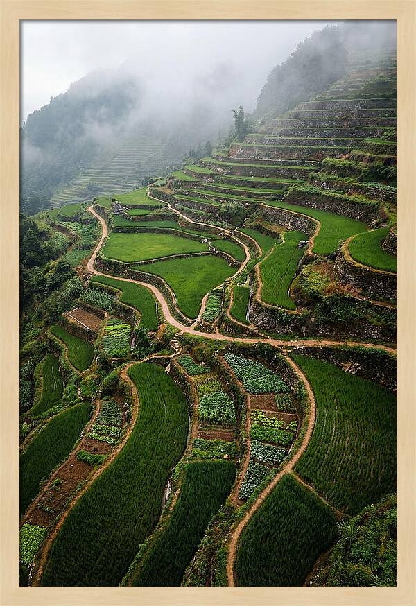 Terraced Hillside Overlook