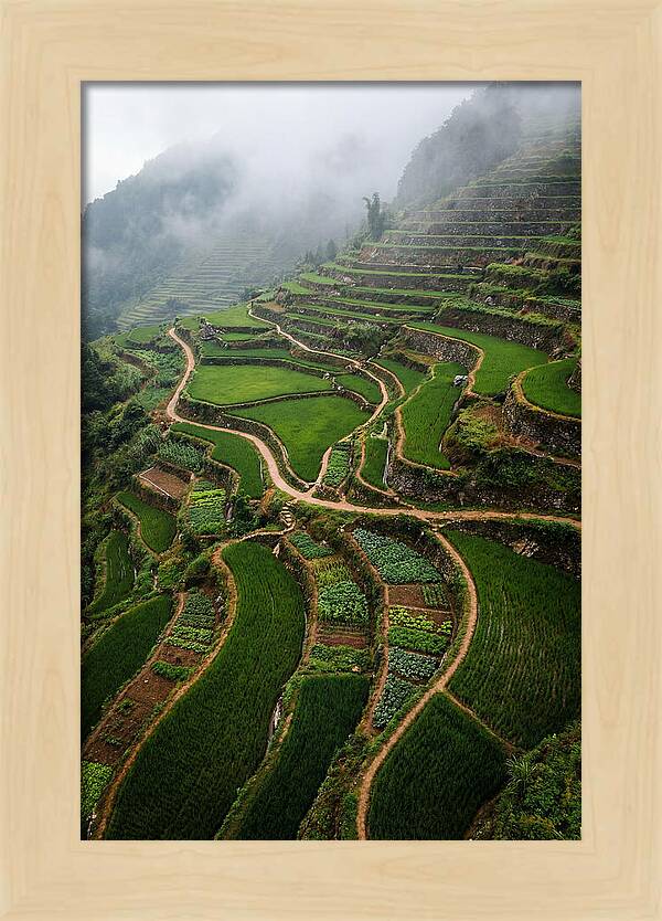 Terraced Hillside Overlook