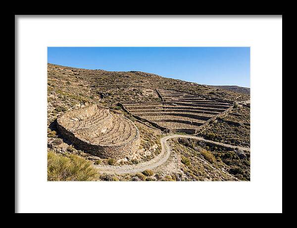 Terraced Vineyard On Steep Hillside