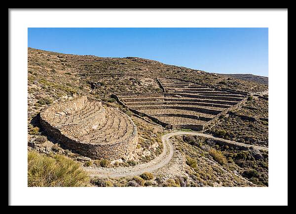 Terraced Vineyard On Steep Hillside