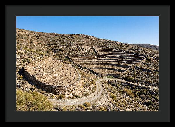 Terraced Vineyard On Steep Hillside