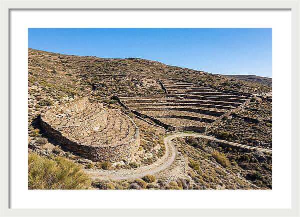 Terraced Vineyard On Steep Hillside