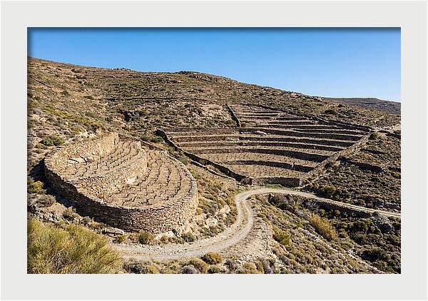 Terraced Vineyard On Steep Hillside