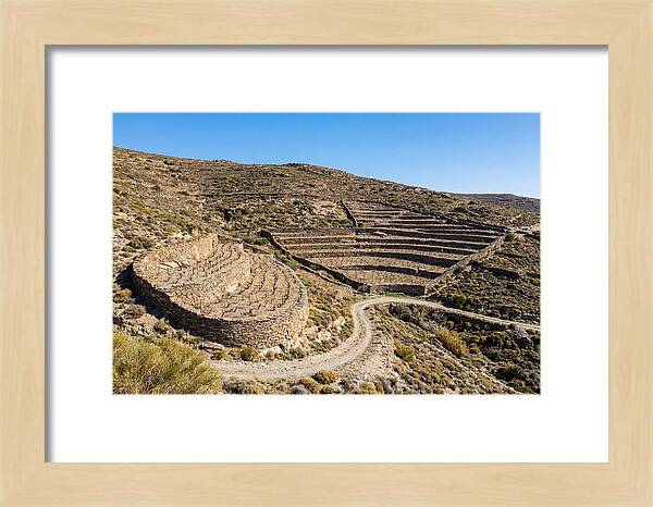 Terraced Vineyard On Steep Hillside
