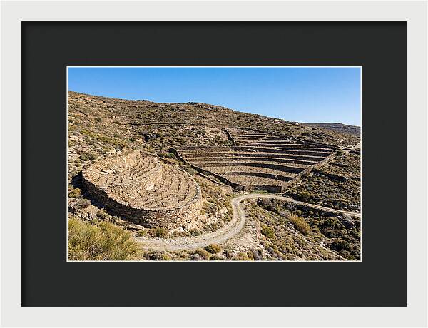 Terraced Vineyard On Steep Hillside