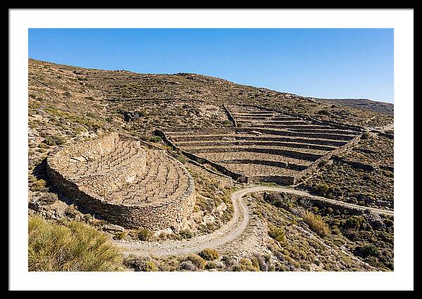 Terraced Vineyard On Steep Hillside