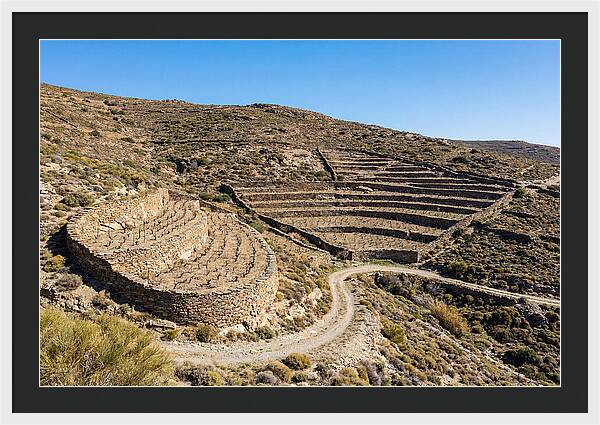 Terraced Vineyard On Steep Hillside