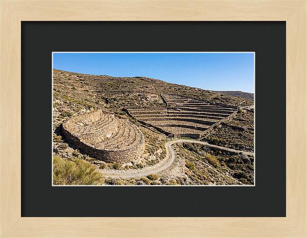Terraced Vineyard On Steep Hillside