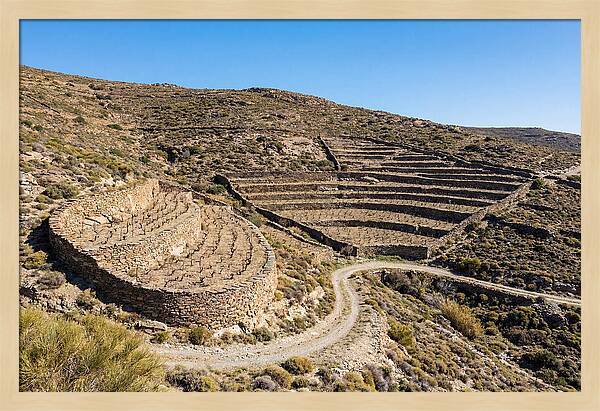 Terraced Vineyard On Steep Hillside