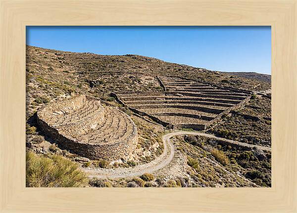 Terraced Vineyard On Steep Hillside