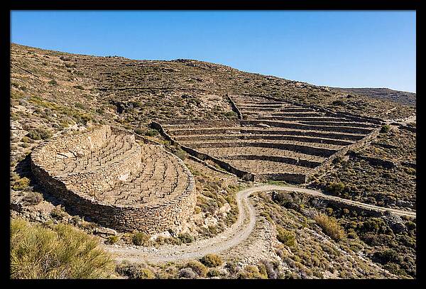 Terraced Vineyard On Steep Hillside
