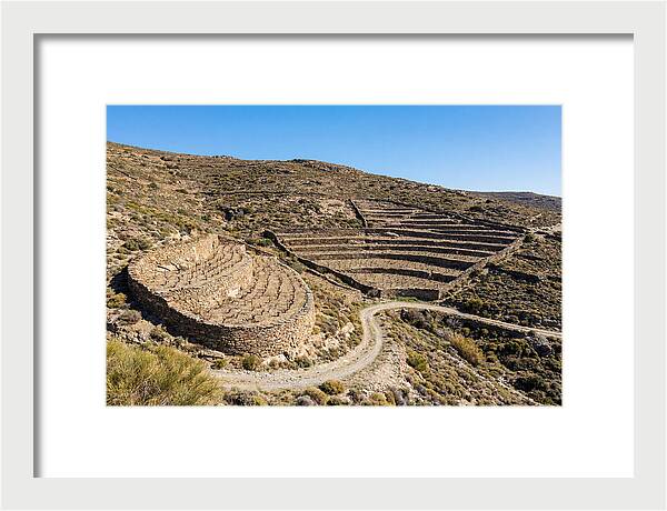 Terraced Vineyard On Steep Hillside