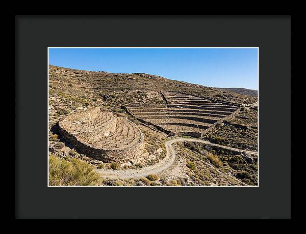 Terraced Vineyard On Steep Hillside