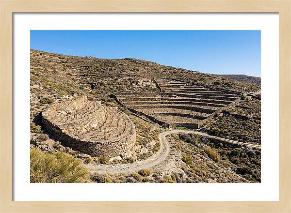 Terraced Vineyard On Steep Hillside