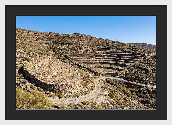 Terraced Vineyard On Steep Hillside